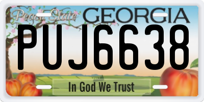 GA license plate PUJ6638
