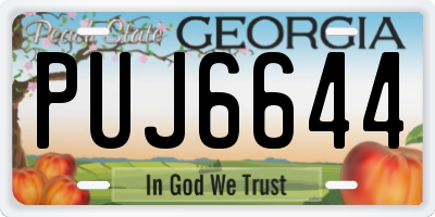 GA license plate PUJ6644