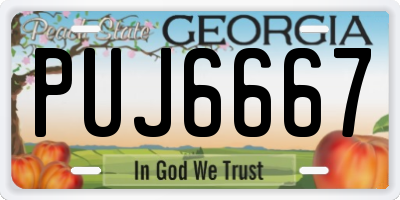 GA license plate PUJ6667