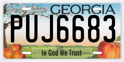 GA license plate PUJ6683