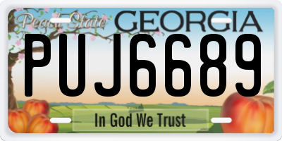 GA license plate PUJ6689