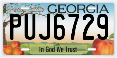 GA license plate PUJ6729
