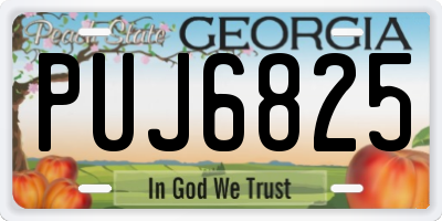 GA license plate PUJ6825