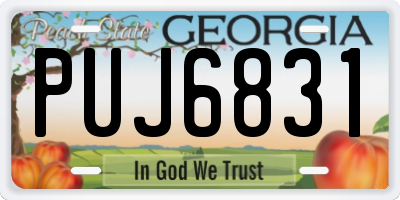 GA license plate PUJ6831