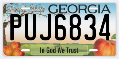 GA license plate PUJ6834