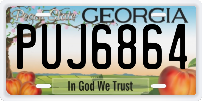 GA license plate PUJ6864