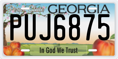GA license plate PUJ6875