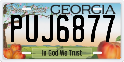 GA license plate PUJ6877