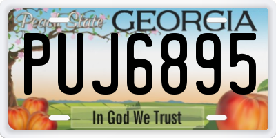 GA license plate PUJ6895