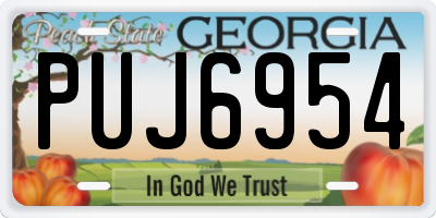 GA license plate PUJ6954