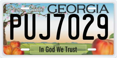 GA license plate PUJ7029