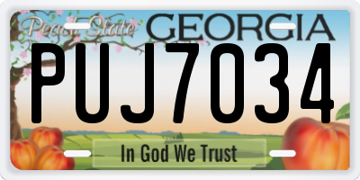 GA license plate PUJ7034