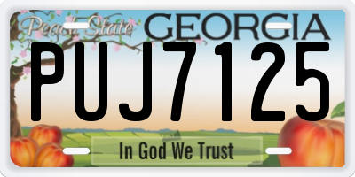 GA license plate PUJ7125