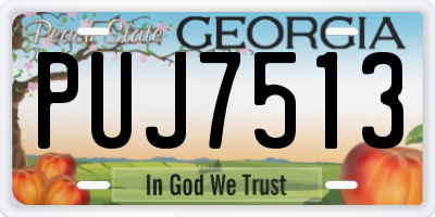 GA license plate PUJ7513