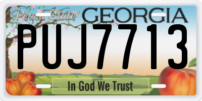 GA license plate PUJ7713
