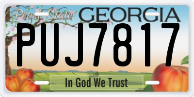 GA license plate PUJ7817