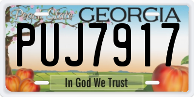 GA license plate PUJ7917