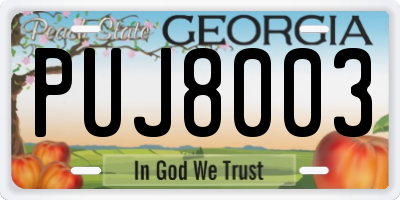 GA license plate PUJ8003