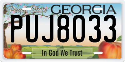 GA license plate PUJ8033
