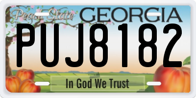 GA license plate PUJ8182