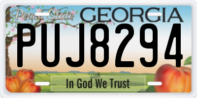 GA license plate PUJ8294