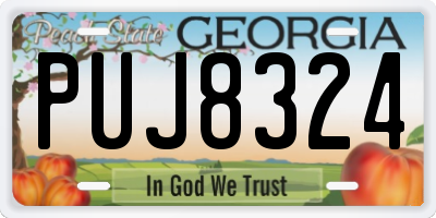 GA license plate PUJ8324