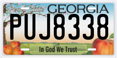 GA license plate PUJ8338