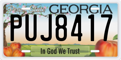 GA license plate PUJ8417