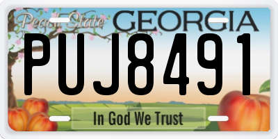 GA license plate PUJ8491