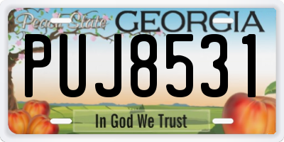 GA license plate PUJ8531