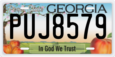GA license plate PUJ8579
