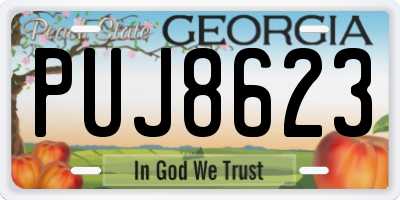 GA license plate PUJ8623