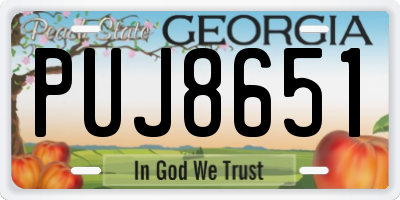 GA license plate PUJ8651