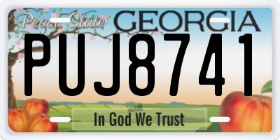 GA license plate PUJ8741