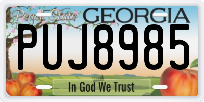 GA license plate PUJ8985