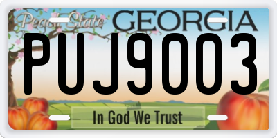 GA license plate PUJ9003