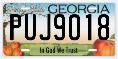 GA license plate PUJ9018