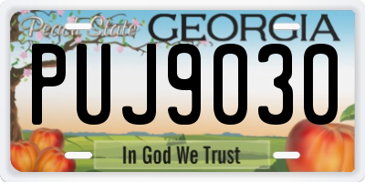 GA license plate PUJ9030
