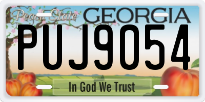 GA license plate PUJ9054
