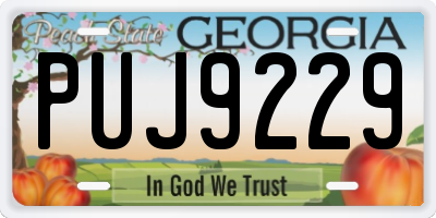 GA license plate PUJ9229