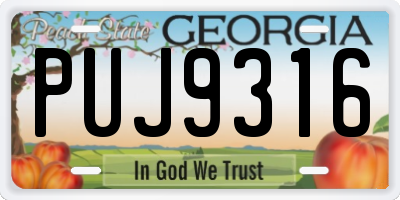 GA license plate PUJ9316