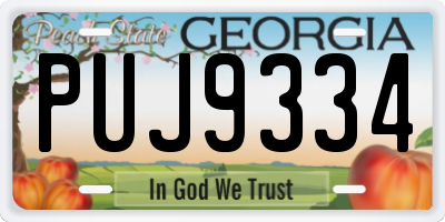 GA license plate PUJ9334
