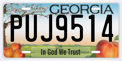 GA license plate PUJ9514
