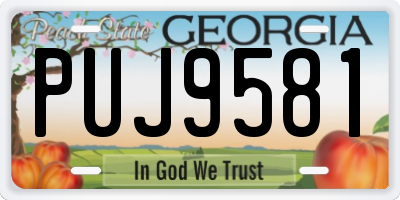 GA license plate PUJ9581