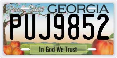 GA license plate PUJ9852
