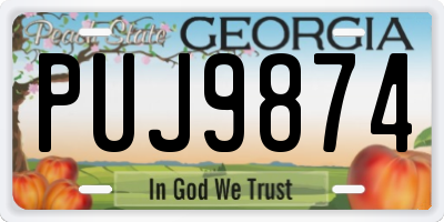 GA license plate PUJ9874
