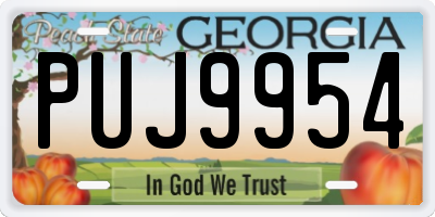 GA license plate PUJ9954