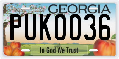 GA license plate PUK0036