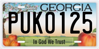 GA license plate PUK0125