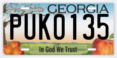 GA license plate PUK0135